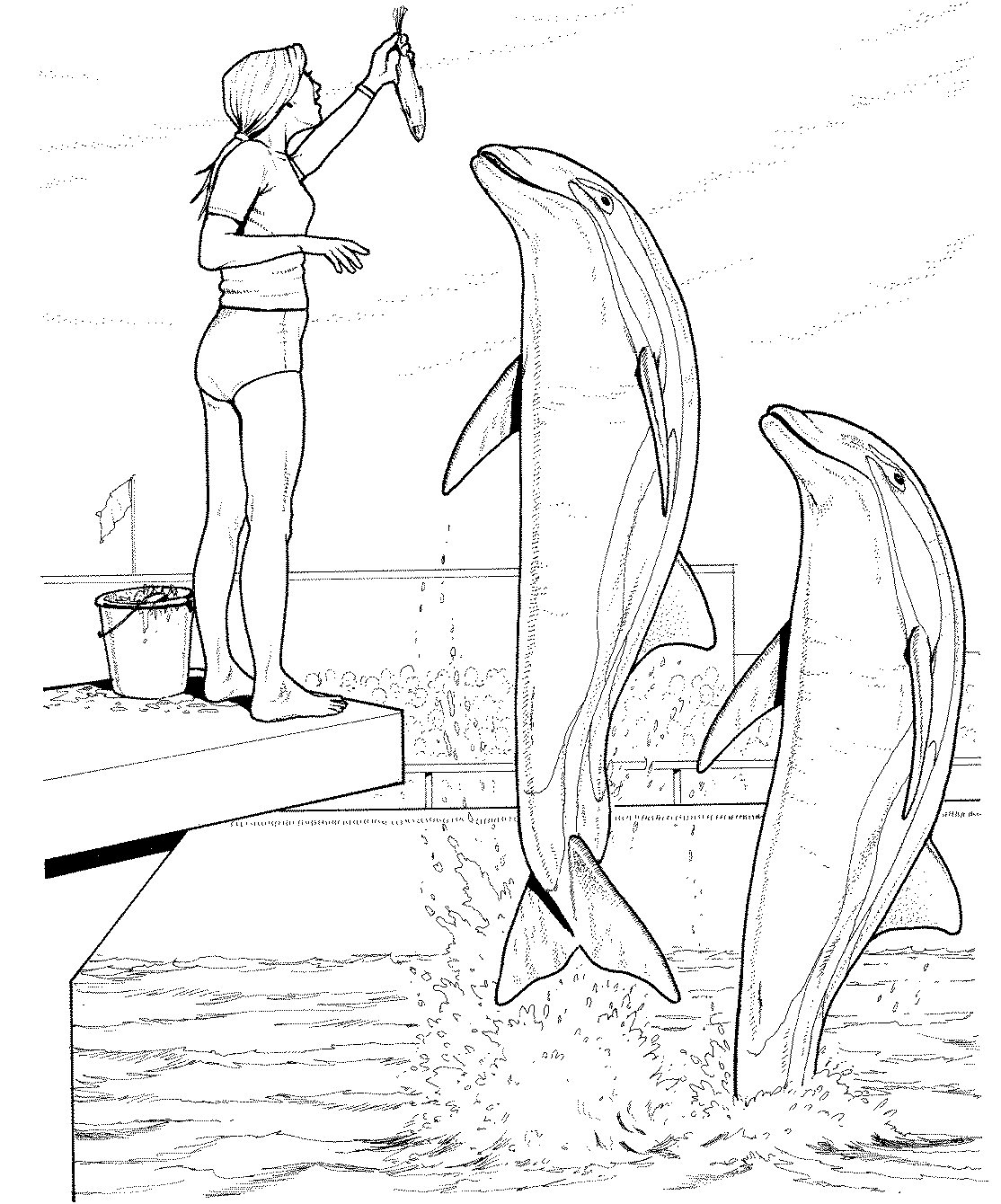 Раскраска: дельфин (Животные) #5191 - Бесплатные раскраски для печати