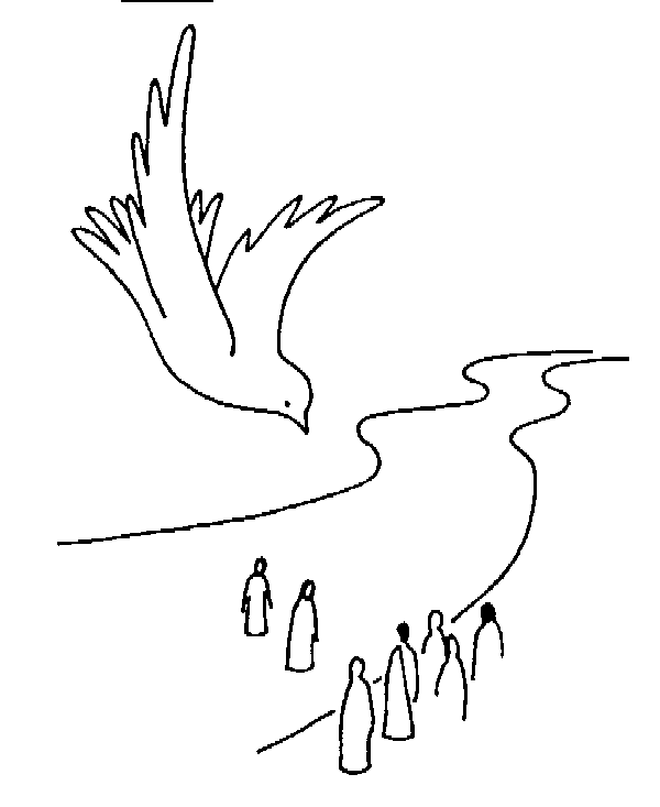 Раскраска: голубь (Животные) #3987 - Бесплатные раскраски для печати