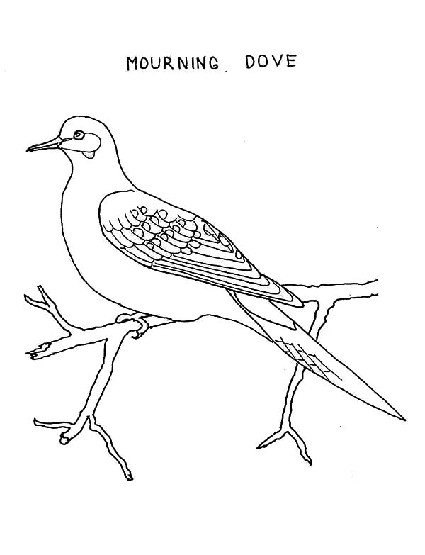 Раскраска: голубь (Животные) #4005 - Бесплатные раскраски для печати