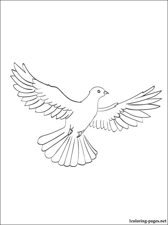 Раскраска: голубь (Животные) #4008 - Бесплатные раскраски для печати