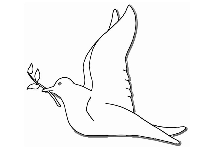 Раскраска: голубь (Животные) #4024 - Бесплатные раскраски для печати