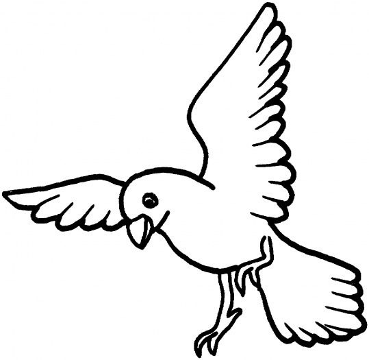 Раскраска: голубь (Животные) #4031 - Бесплатные раскраски для печати