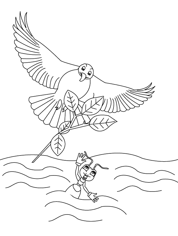 Раскраска: голубь (Животные) #4062 - Бесплатные раскраски для печати