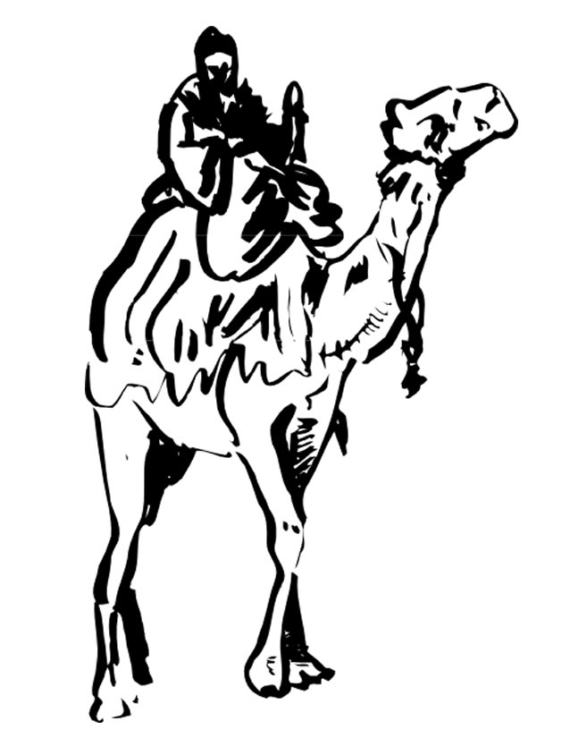 Раскраска: дромадер (Животные) #5928 - Бесплатные раскраски для печати