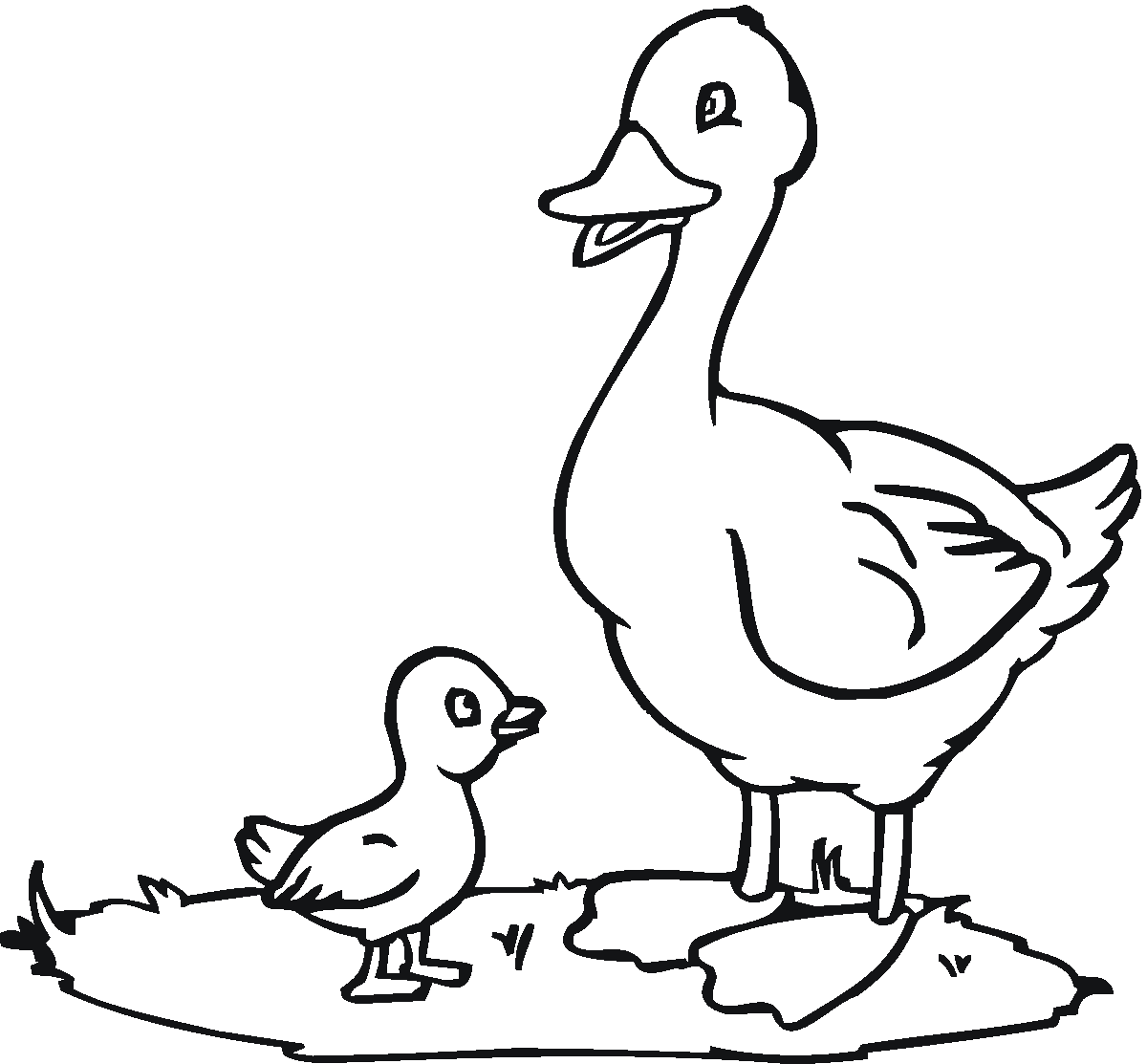 Раскраска: утка (Животные) #1442 - Бесплатные раскраски для печати