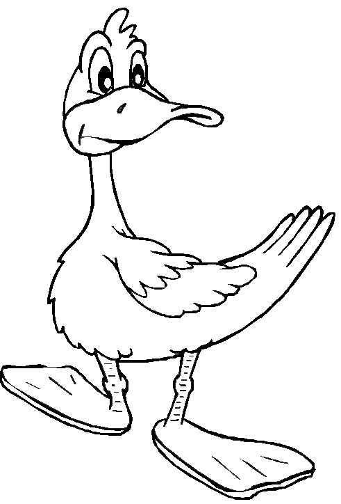 Раскраска: утка (Животные) #1460 - Бесплатные раскраски для печати