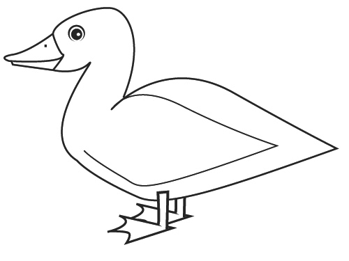 Раскраска: утка (Животные) #1492 - Бесплатные раскраски для печати