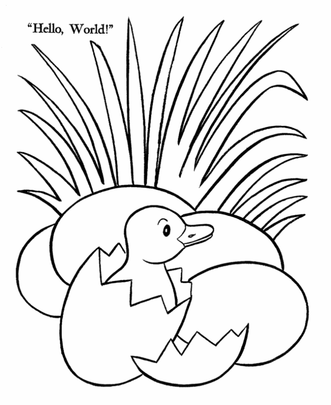 Раскраска: утка (Животные) #1495 - Бесплатные раскраски для печати