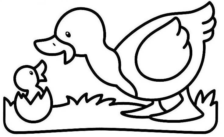 Раскраска: утка (Животные) #1516 - Бесплатные раскраски для печати