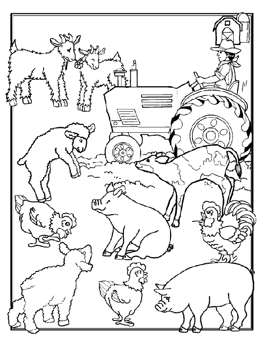 Раскраска: Сельскохозяйственные животные (Животные) #21387 - Бесплатные раскраски для печати