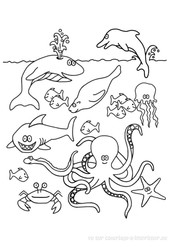 Раскраска: рыба (Животные) #17036 - Бесплатные раскраски для печати