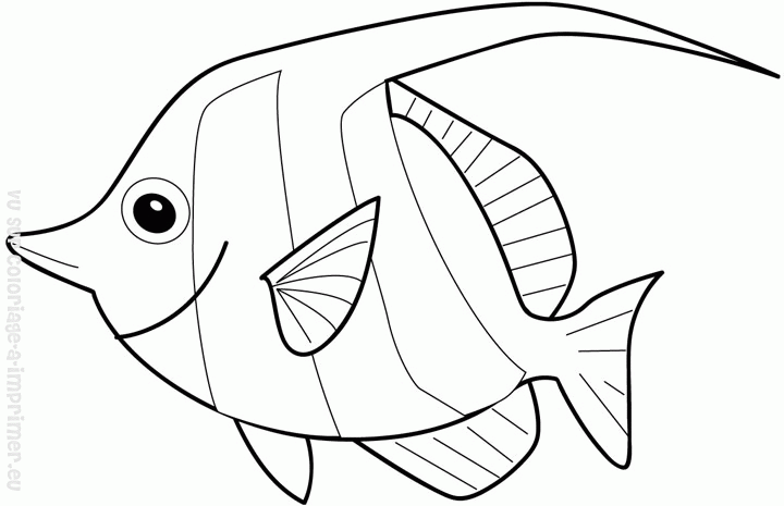 Раскраска: рыба (Животные) #17122 - Бесплатные раскраски для печати