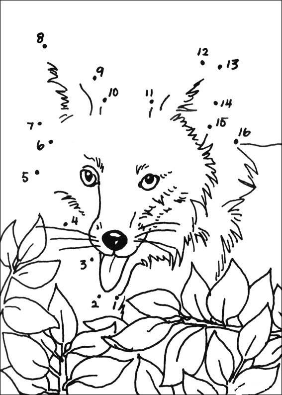 Раскраска: лисица (Животные) #15142 - Бесплатные раскраски для печати