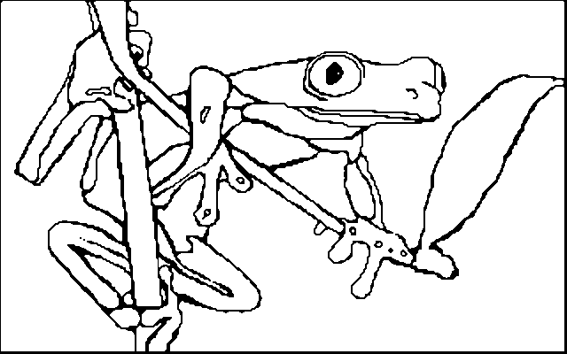 Раскраска: лягушка (Животные) #7609 - Бесплатные раскраски для печати