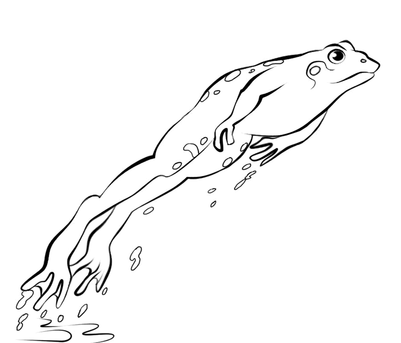 Раскраска: лягушка (Животные) #7718 - Бесплатные раскраски для печати