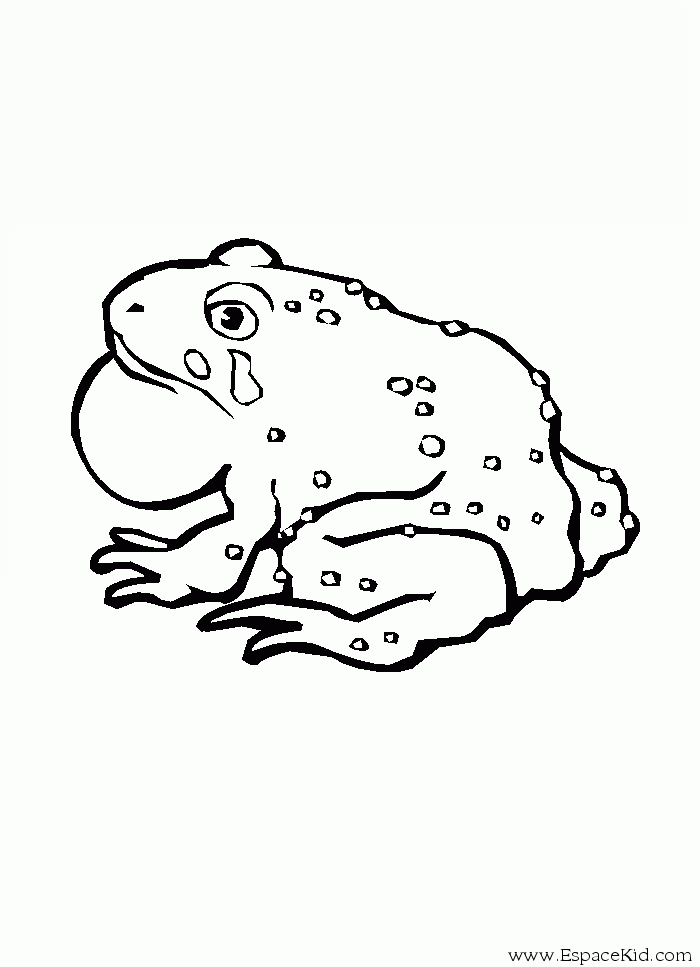 Раскраска: лягушка (Животные) #7746 - Бесплатные раскраски для печати