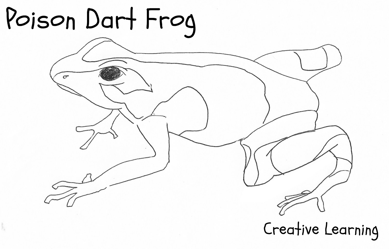 Раскраска: лягушка (Животные) #7757 - Бесплатные раскраски для печати
