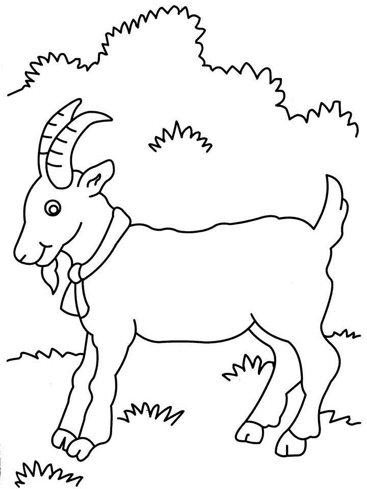 Раскраска: коза (Животные) #2403 - Бесплатные раскраски для печати