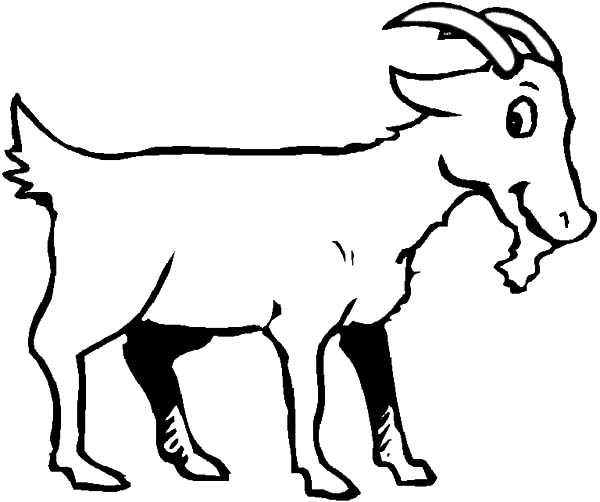 Раскраска: коза (Животные) #2522 - Бесплатные раскраски для печати