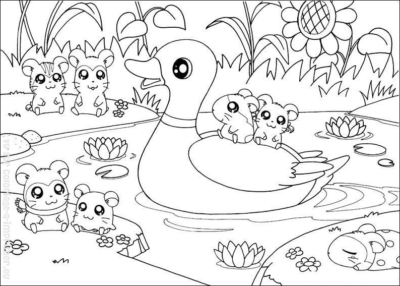 Раскраска: хомяк (Животные) #8109 - Бесплатные раскраски для печати