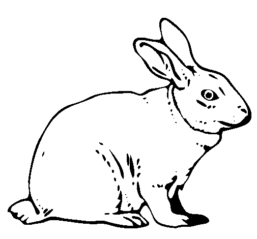 Раскраска: заяц (Животные) #10077 - Бесплатные раскраски для печати