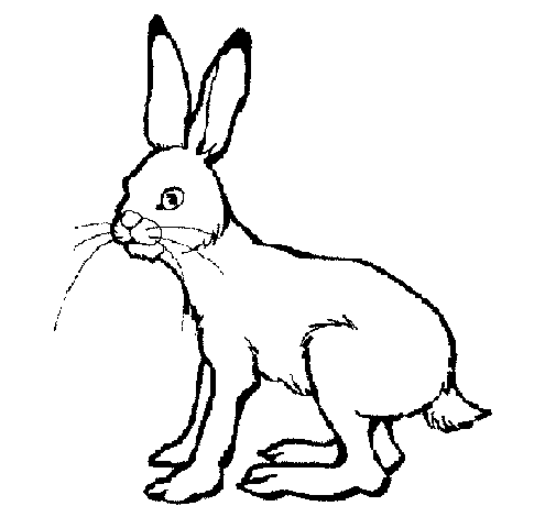 Раскраска: заяц (Животные) #10078 - Бесплатные раскраски для печати