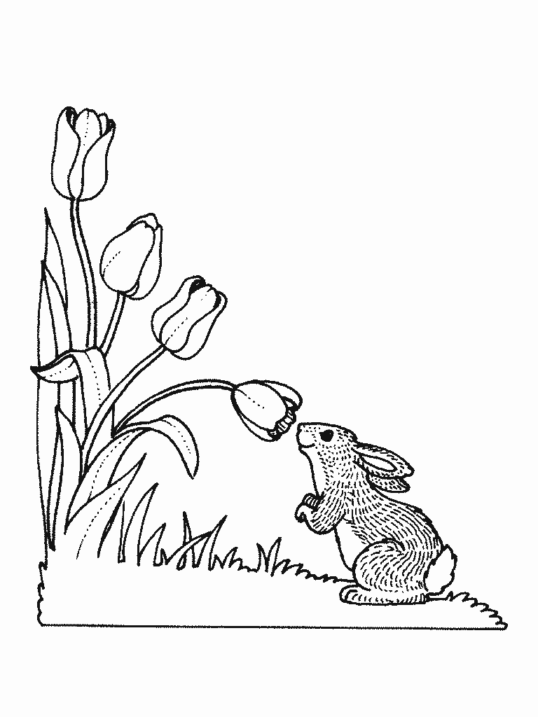 Раскраска: заяц (Животные) #10138 - Бесплатные раскраски для печати