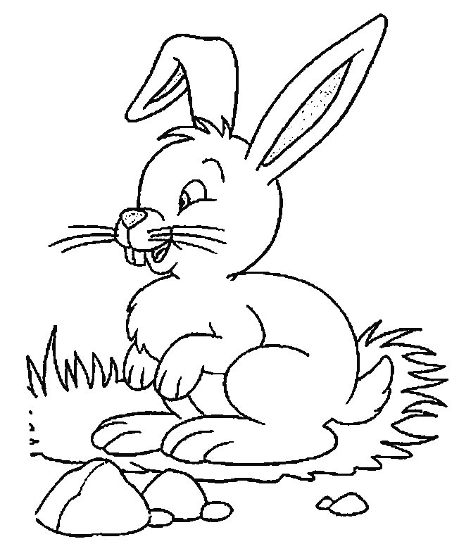 Раскраска: заяц (Животные) #10224 - Бесплатные раскраски для печати