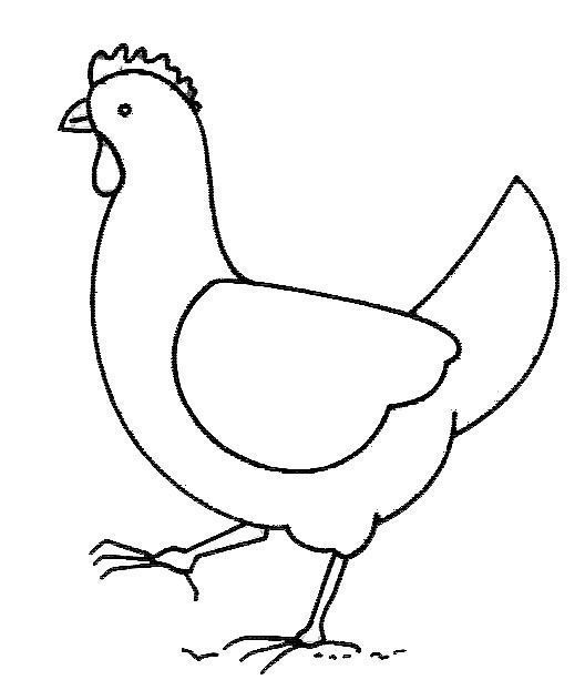 Раскраска: курица (Животные) #17440 - Бесплатные раскраски для печати