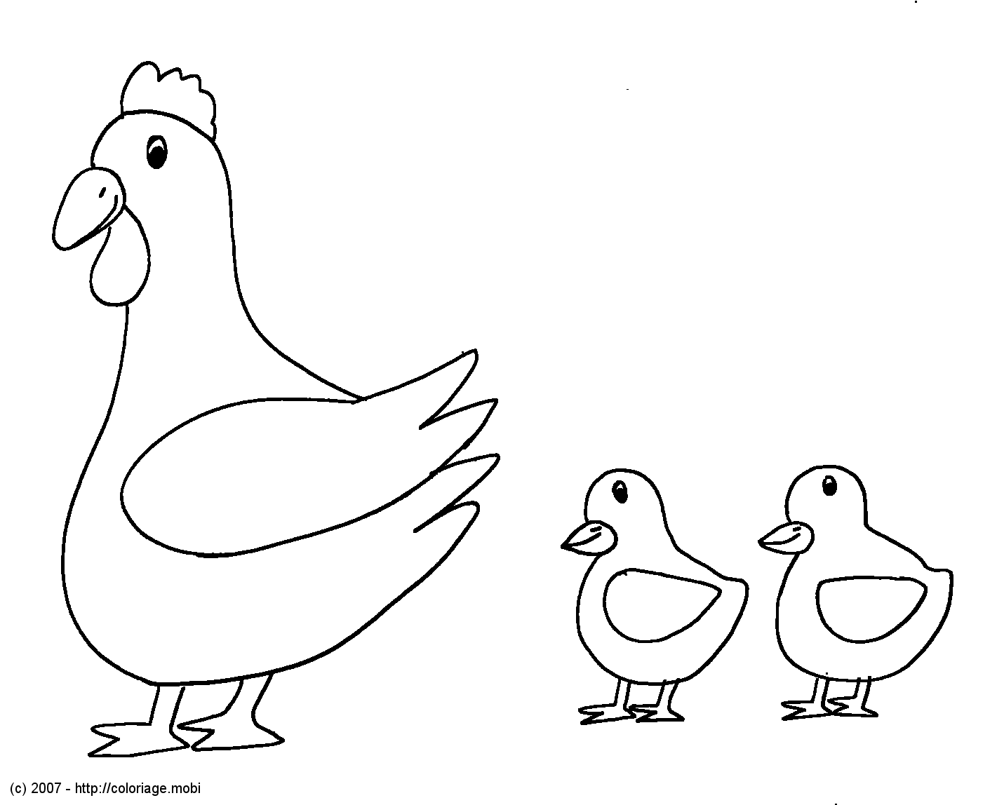 Раскраска: курица (Животные) #17454 - Бесплатные раскраски для печати