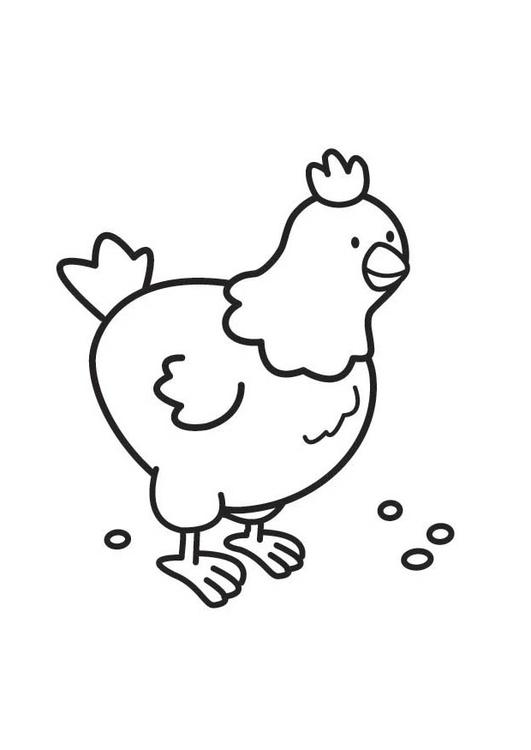 Раскраска: курица (Животные) #17461 - Бесплатные раскраски для печати