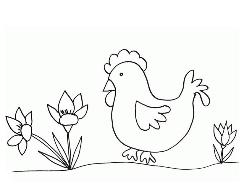 Раскраска: курица (Животные) #17476 - Бесплатные раскраски для печати