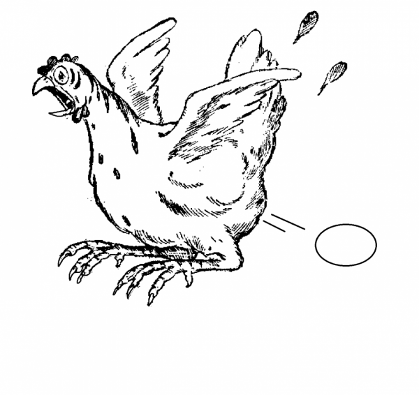 Раскраска: курица (Животные) #17496 - Бесплатные раскраски для печати