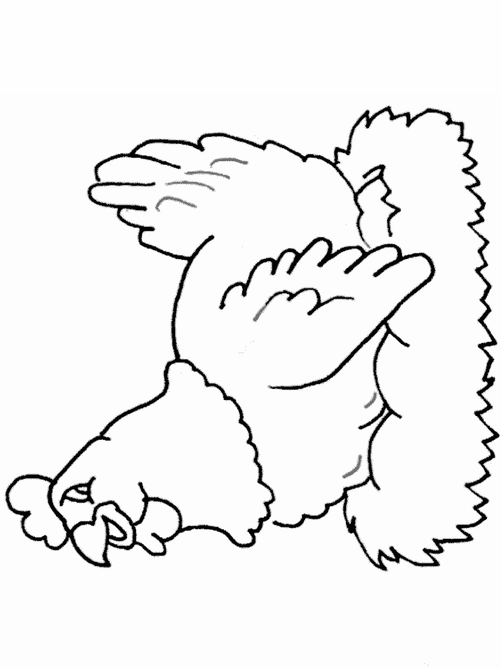 Раскраска: курица (Животные) #17541 - Бесплатные раскраски для печати