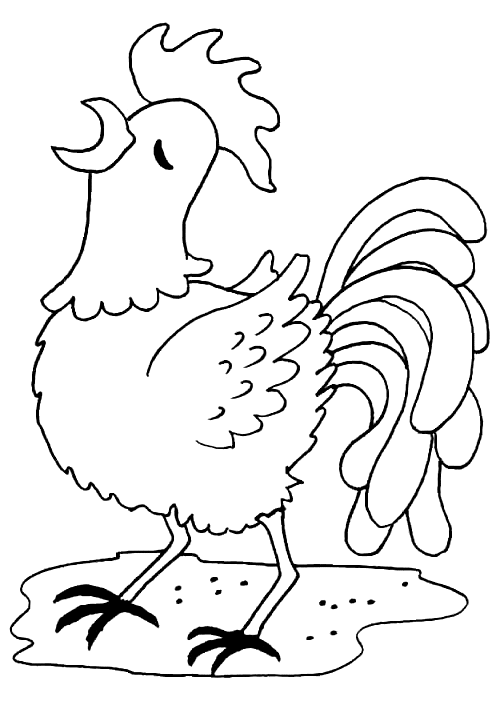 Раскраска: курица (Животные) #17560 - Бесплатные раскраски для печати