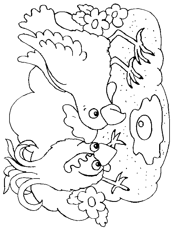 Раскраска: курица (Животные) #17562 - Бесплатные раскраски для печати