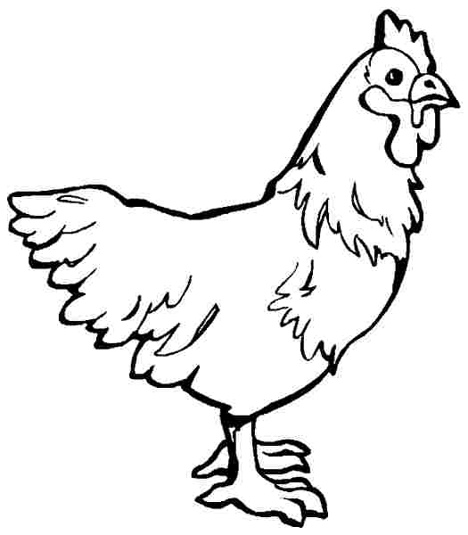 Раскраска: курица (Животные) #17577 - Бесплатные раскраски для печати
