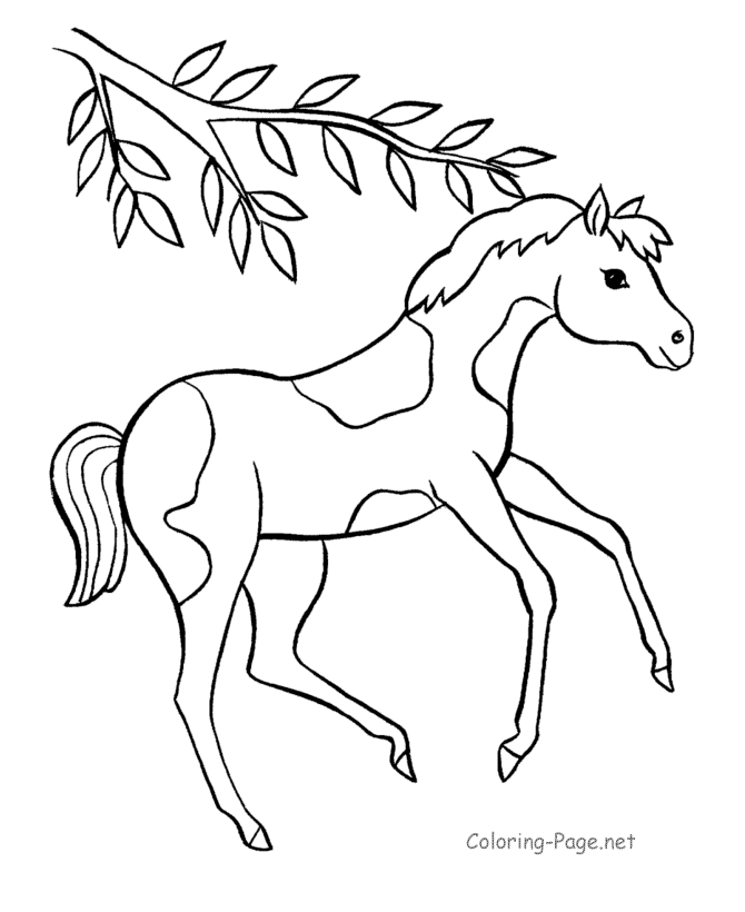 Раскраска: лошадь (Животные) #2202 - Бесплатные раскраски для печати
