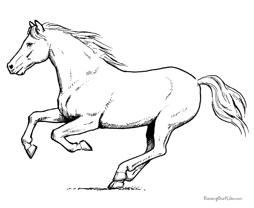 Раскраска: лошадь (Животные) #2237 - Бесплатные раскраски для печати