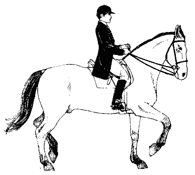Раскраска: лошадь (Животные) #2261 - Бесплатные раскраски для печати