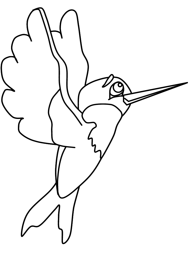 Раскраска: колибри (Животные) #3810 - Бесплатные раскраски для печати