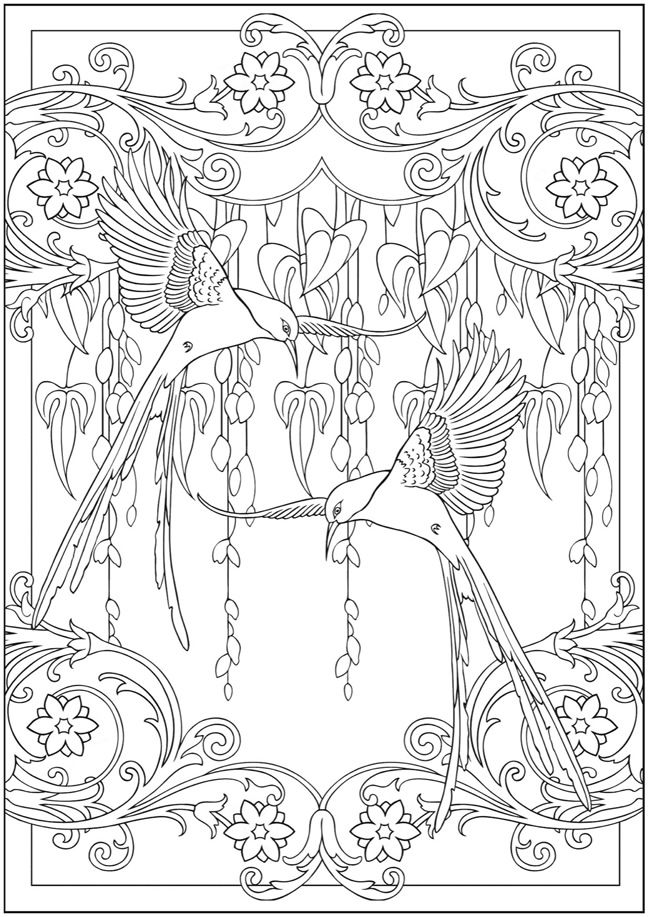 Раскраска: колибри (Животные) #3851 - Бесплатные раскраски для печати