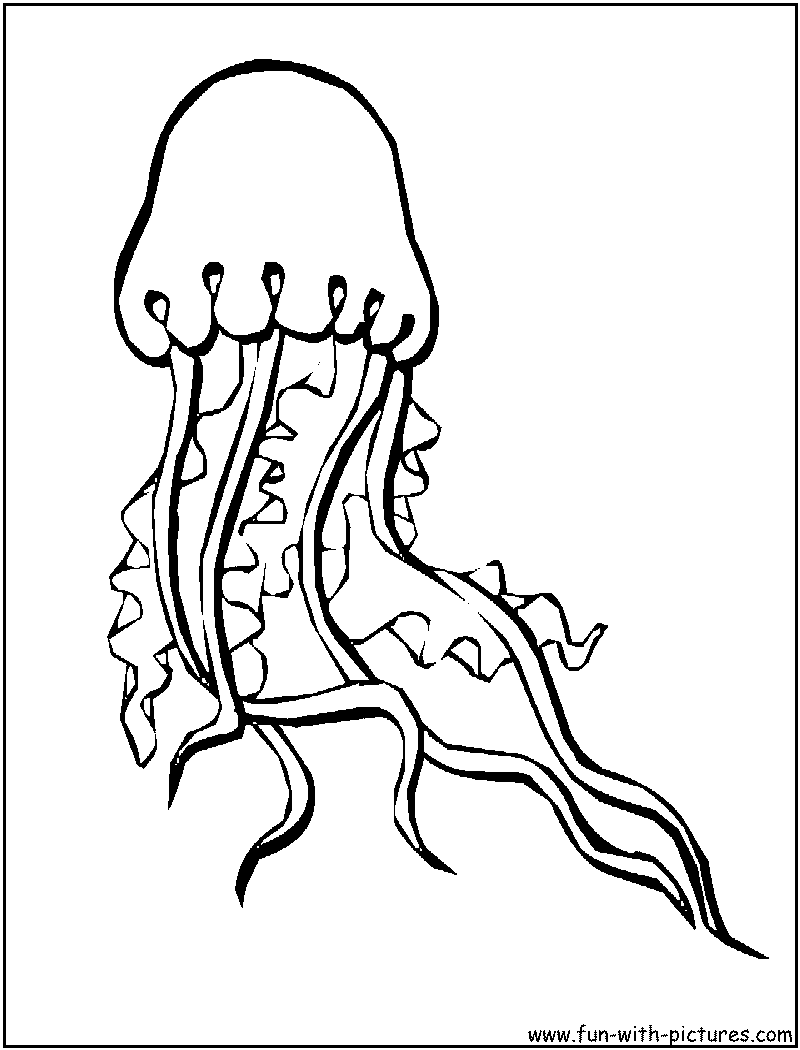 Раскраска: медуза (Животные) #20394 - Бесплатные раскраски для печати