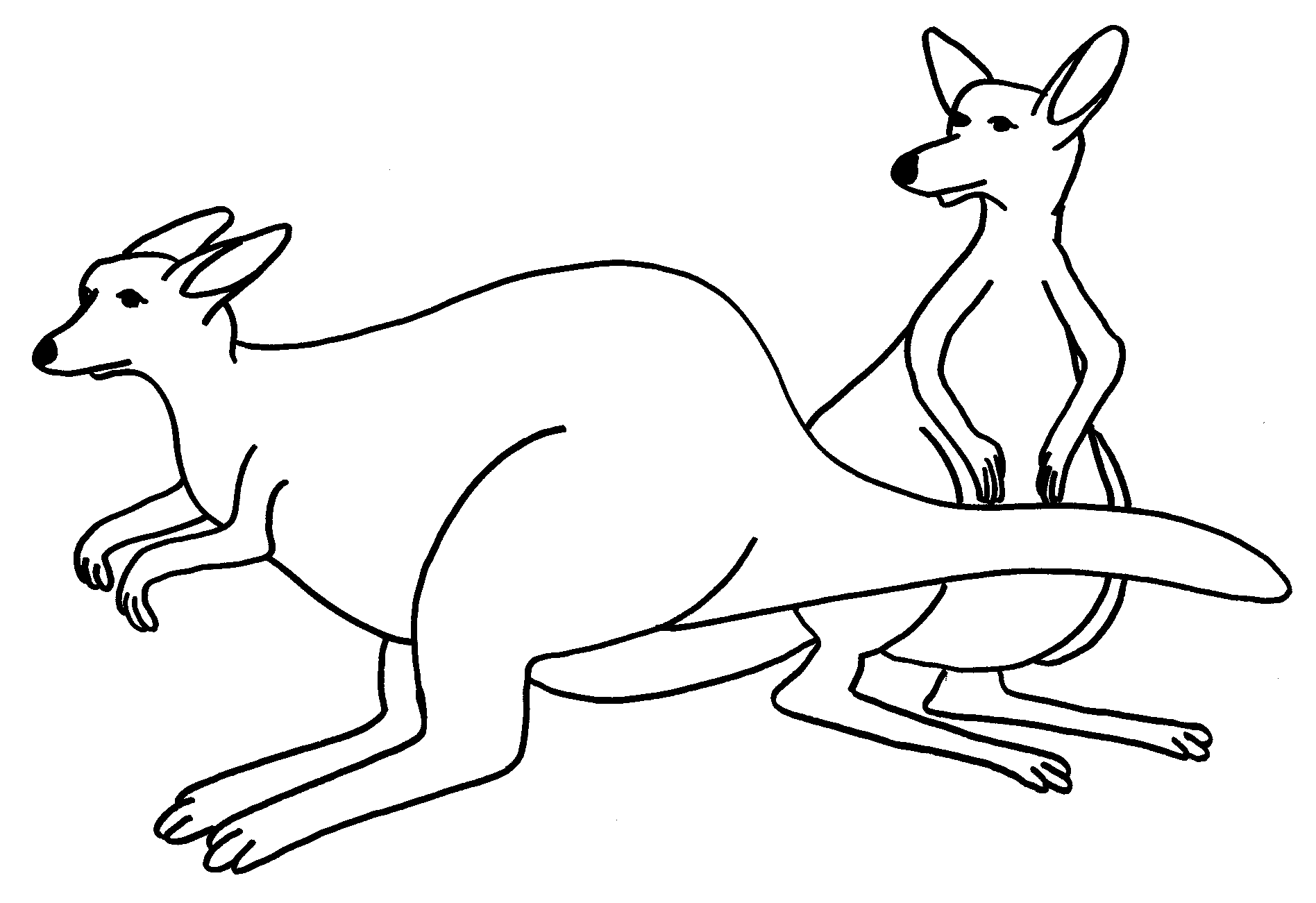 Раскраска: кенгуру (Животные) #9136 - Бесплатные раскраски для печати