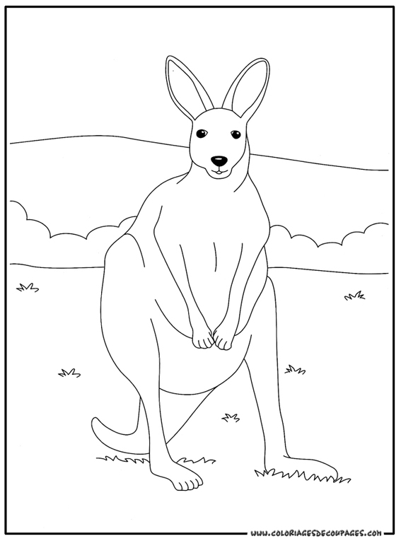 Раскраска: кенгуру (Животные) #9180 - Бесплатные раскраски для печати