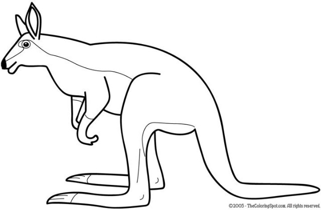 Раскраска: кенгуру (Животные) #9232 - Бесплатные раскраски для печати