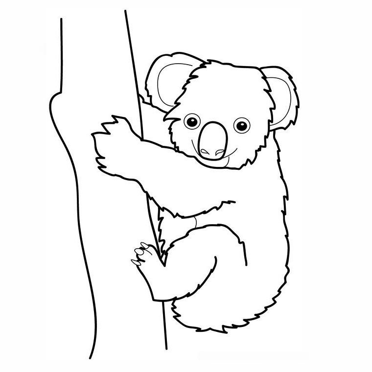 Раскраска: коала (Животные) #9300 - Бесплатные раскраски для печати