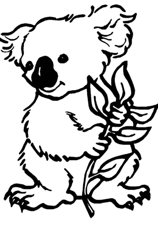 Раскраска: коала (Животные) #9309 - Бесплатные раскраски для печати