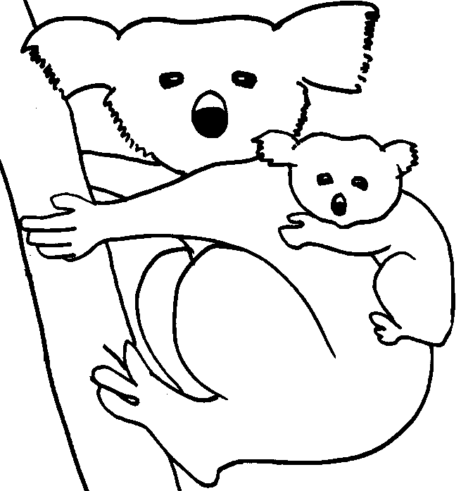 Раскраска: коала (Животные) #9334 - Бесплатные раскраски для печати