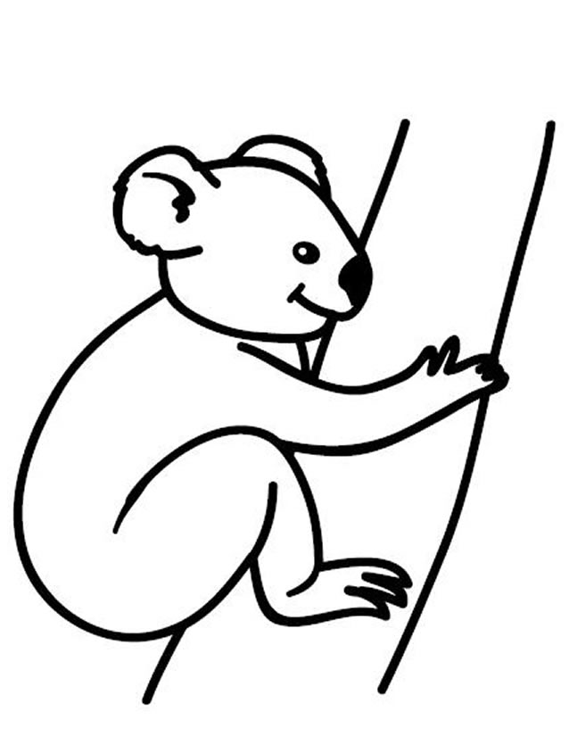 Раскраска: коала (Животные) #9401 - Бесплатные раскраски для печати